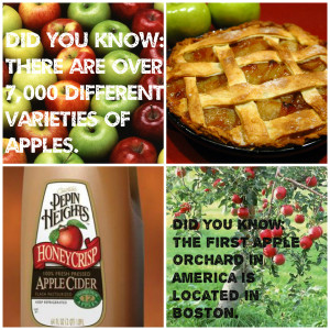 apple collage