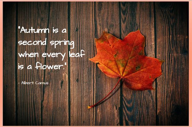 fall quote